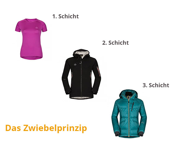 Das Zwiebelprinzip - Dimi Sport Onlineshop