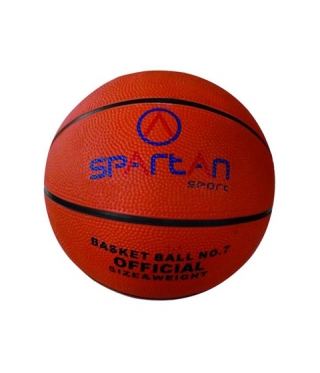 Basketball / Trainingsball SPARTAN Florida N 5