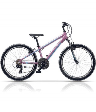 mountainbikes online