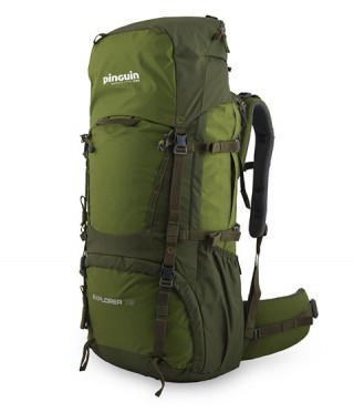 Rucksack Explorer 75 grün